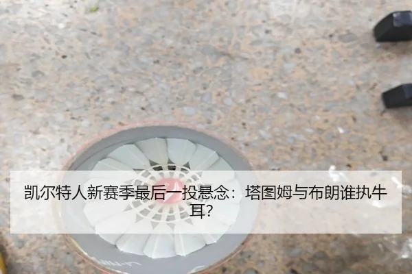 凯尔特人新赛季最后一投悬念：塔图姆与布朗谁执牛耳？